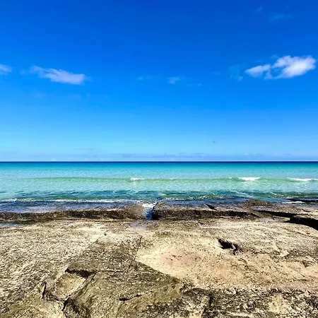 Maracuya ラハレス